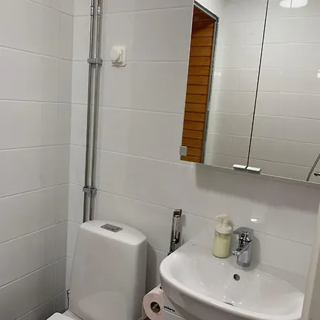 Yksioe Keskustassa Saunalla Iisalmi Extérieur photo