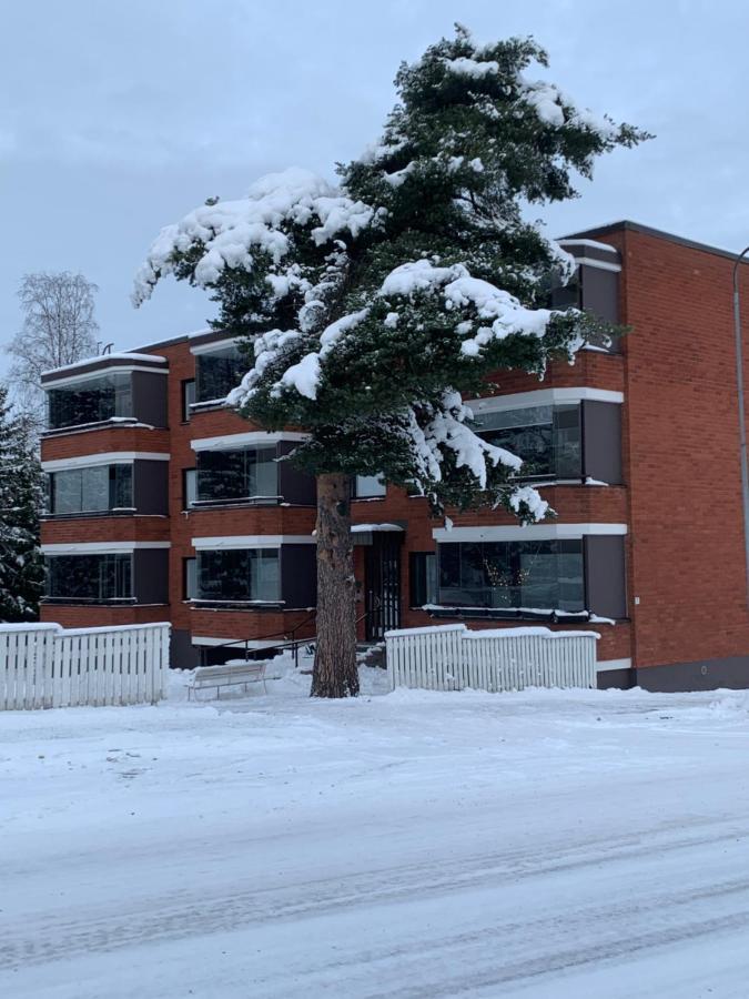 Yksioe Keskustassa Saunalla Apartment